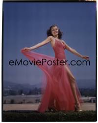 4m0192 RITA HAYWORTH 8x10 transparency 1940s incredible portrait in pink gown showing her sexy leg!