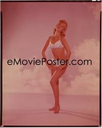 4m0193 SANDRA DEE 8x10 transparency 1960s the sexy blonde in two-piece polka dot swimsuit!