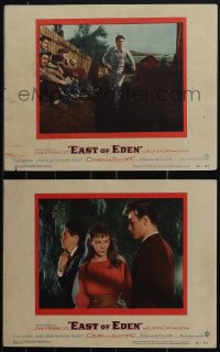 4p0615 EAST OF EDEN 2 LCs 1955 James Dean & Julie Harris, directed by Elia Kazan, great scenes!
