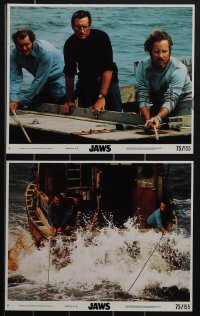 4p1099 JAWS 8 8x10 mini LCs 1975 Scheider, Robert Shaw, Dreyfuss, Spielberg's shark classic!