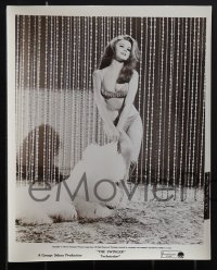 4p1045 SWINGER 40 8x10 stills 1966 MANY great images of super sexy Ann-Margret, some cool candids!