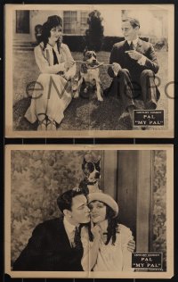 4p0598 MY PAL 6 LCs 1923 great images of Pal the Dog, pretty Alice Day, Ernie Adams, ultra rare!