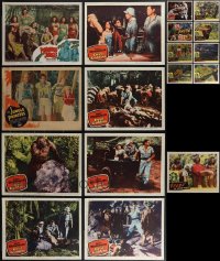 4s0368 LOT OF 17 LOBBY CARDS FROM JUNGLE MOVIES 1930s-1950s incomplete sets from several movies!