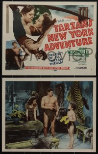 4y0619 TARZAN'S NEW YORK ADVENTURE 8 LCs R1948 Johnny Weissmuller, Maureen O'Sullivan, complete set!