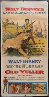 5a0044 OLD YELLER linen 3sh R1965 Dorothy McGuire, Fess Parker, art of Walt Disney's classic canine!
