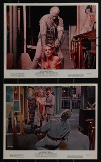 5f1335 MUMMY'S SHROUD 4 color 8x10 stills 1967 Hammer horror, Andre Morell, images of the creature!