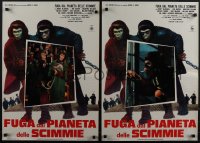 5g0325 ESCAPE FROM THE PLANET OF THE APES 8 Italian 18x26 pbustas 1971 Roddy McDowall, Hunter!