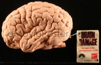 5h0040 BRAIN DAMAGE toy brain 1988 it's a headache from Hell, cool small cerebrum!