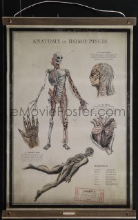 5h0029 SHAPE OF WATER 17x27 special poster 2017 anatomy chart of the Amphibian Man w/ special tube!