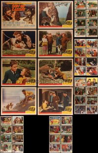 5m0251 LOT OF 48 LASSIE LOBBY CARDS 1940s-1960s complete sets from six different movies!