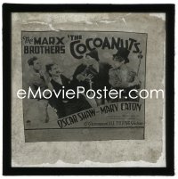 5p0238 COCOANUTS 3.25x3.25 English glass slide 1929 Groucho, Harpo, Chico & Zeppo Marx, ultra rare!