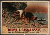 5p0868 LASSIE COME HOME linen Italian 14x20 pbusta 1948 great c/u of the Collie dog star, very rare!