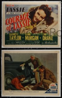 5r1571 COURAGE OF LASSIE 8 linen LCs 1946 great images of Elizabeth Taylor & the famous canine star!