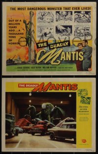 5r1574 DEADLY MANTIS 8 LCs 1957 Craig Stevens, Alix Talton, William Hopper, giant insect horror!