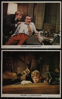 5r1634 WILLARD 8 LCs 1971 Bruce Davison, Ernest Borgnine, Sondra Locke, rat horror!