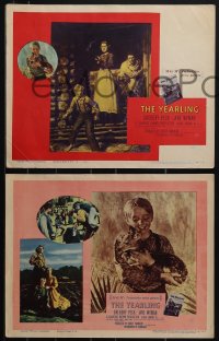 5r1636 YEARLING 8 LCs 1946 Gregory Peck, Jane Wyman, Claude Jarman Jr. & baby deer, classic!