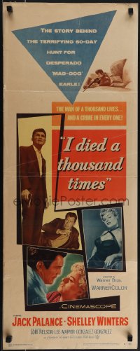 5s0543 I DIED A THOUSAND TIMES insert 1955 Jack Palance & sexy Shelley Winters, Lee Marvin!