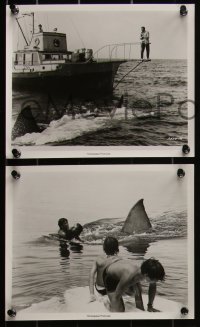 5t1386 JAWS 13 8x10 stills 1975 Scheider, Robert Shaw, Dreyfuss, Spielberg's shark classic!