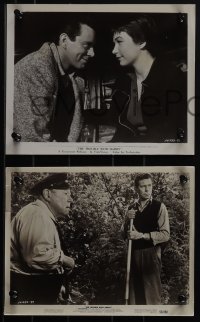 5t1454 TROUBLE WITH HARRY 3 8x10 stills 1955 Alfred Hitchcock, John Forsythe as the romantic lead!