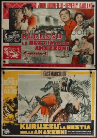 5z0893 CURUCU, BEAST OF THE AMAZON 7 Italian 19x27 pbustas 1957 Universal horror, different & rare!