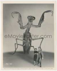 6b1224 DEADLY MANTIS 8x10 key book still 1957 FX image of Talton & Stevens running from monster!