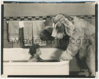 6b1390 PETER PAN 8x10.25 still 1924 Mary Brian as Wendy in bath staring at giant Nana the dog!