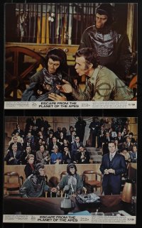 6b1570 ESCAPE FROM THE PLANET OF THE APES 4 color 8x10 stills 1971 McDowall, Hunter, Mineo!