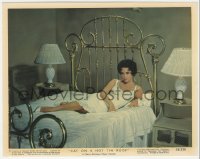 6f1484 CAT ON A HOT TIN ROOF color 8x10 still #4 1958 classic image of sexy Elizabeth Taylor on bed!
