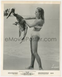 6f1422 DR. NO candid 8x10 still 1963 censored Ursula Andress in bikini holding pelican on beach!
