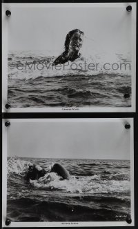 6f1670 JAWS 2 8x10 stills 1975 great images of Susan Backlinie in peril, Spielberg's shark classic!