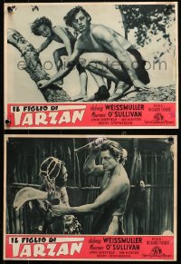 6f0226 TARZAN FINDS A SON set of 3 Italian 10x13 pbustas R1948 Weissmuller, O'Sullivan, Sheffield!