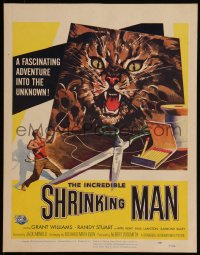 6f0086 INCREDIBLE SHRINKING MAN WC 1957 Jack Arnold classic, great giant cat & tiny man artwork!