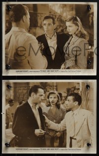 6f1652 TO HAVE & HAVE NOT 3 8x10 stills 1944 Humphrey Bogart, Lauren Bacall, Dalio and Sande!