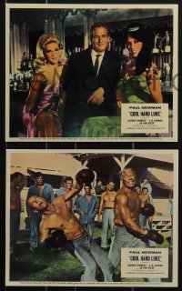 6f1453 COOL HAND LUKE 8 color English FOH LCs 1967 Paul Newman as Lucas Jackson, George Kennedy!