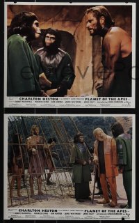 6f1460 PLANET OF THE APES 7 color English FOH LCs 1968 captive Charlton Heston & Linda Harrison!