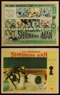 6f0586 INCREDIBLE SHRINKING MAN 8 LCs 1957 Jack Arnold classic, Reynold Brown sci-fi art on tc!