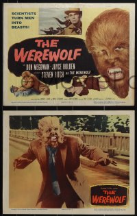 6f0629 WEREWOLF 8 LCs 1956 Steven Ritch as the wolf-man, scientists turn men into beasts!