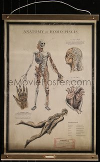 6j0049 SHAPE OF WATER 17x27 special poster 2017 anatomy chart of the Amphibian Man w/ special tube!