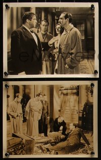 6j1501 BLACK CAT 13 8x10 stills 1941 Basil Rathbone, Crawford & two with low billed Alan Ladd!