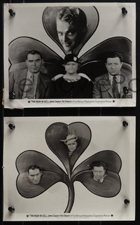 6j1546 IRISH IN US 6 8x10 stills 1935 boxer James Cagney, Pat O'Brien, De Havilland, shamrocks!