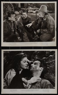 6j1595 RED RIVER 3 8x10 stills 1948 images of Montgomery Clift, Joanne Dru, Howard Hawks classic!