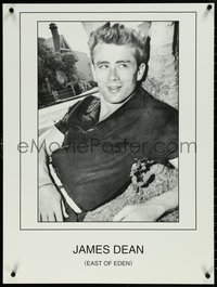 6r0196 EAST OF EDEN 24x32 special poster 1990s great image of James Dean in his first, ultra rare!