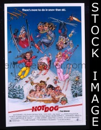 r770 HOT DOG one-sheet movie poster '84 David Naughton, skiing!