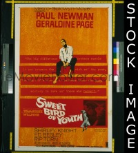 #616 SWEET BIRD OF YOUTH 1sh '62 Newman, Page