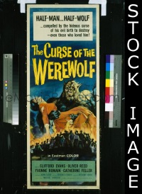 #464 CURSE OF THE WEREWOLF insert '60 Reed 
