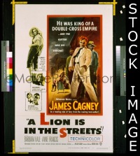 LION IS IN THE STREETS 1sheet