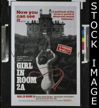 GIRL IN ROOM 2A 1sheet