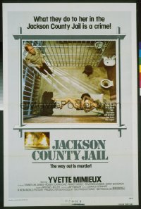 JACKSON COUNTY JAIL 1sheet