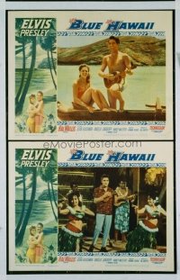 366 BLUE HAWAII LC